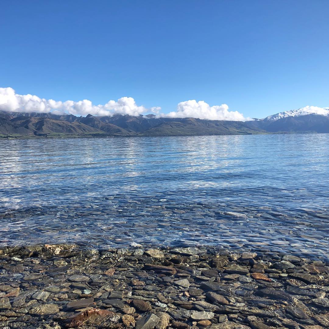 Image for Iconic tree in Wanaka