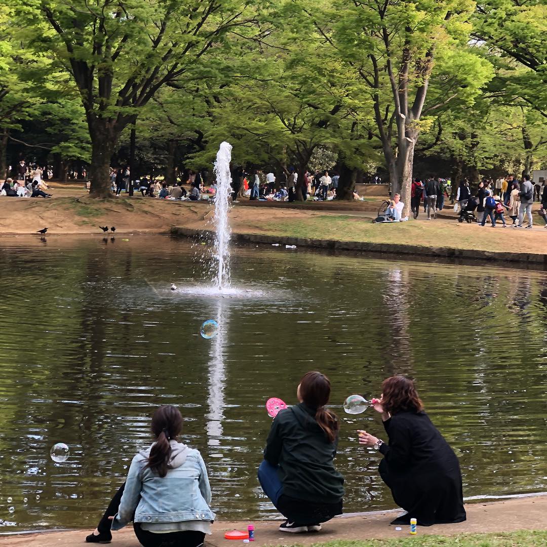 Image for Blowing bubbles in Yoyogi park