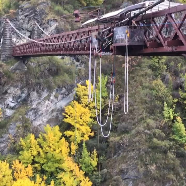 Image for My New Zealand Bungy Jump