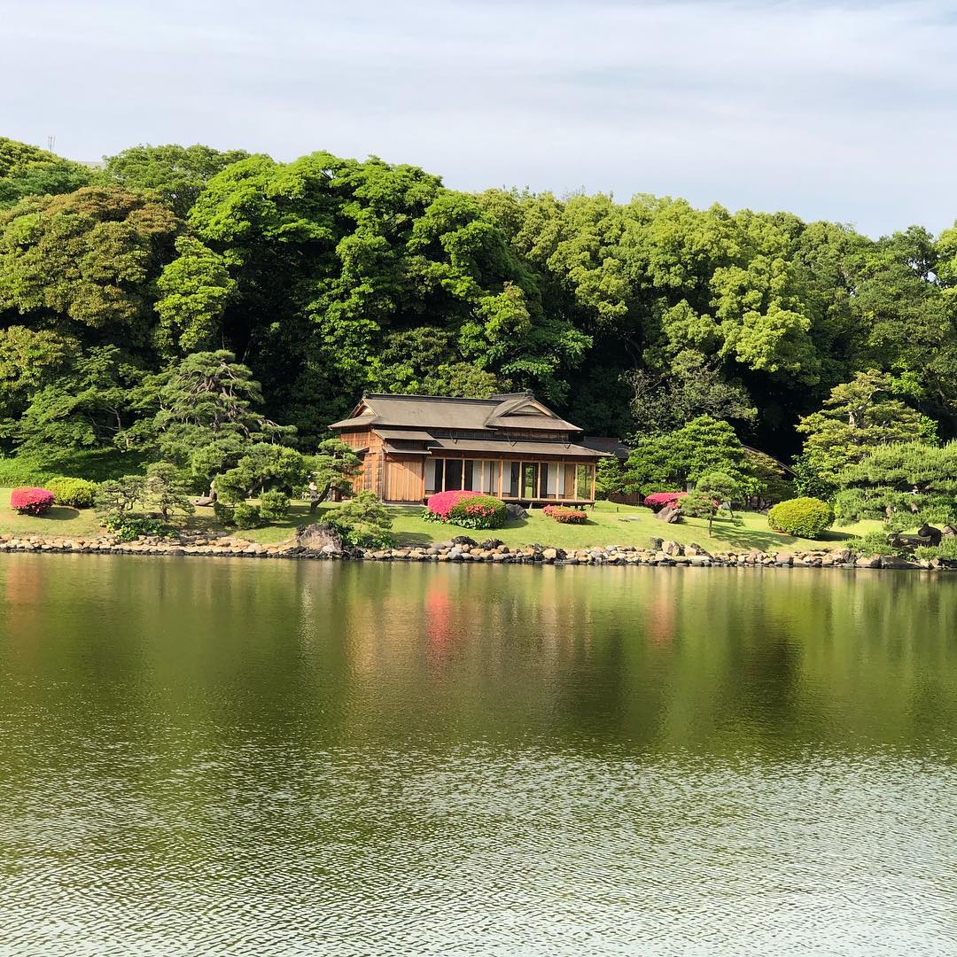 Image for Kyoto Lake