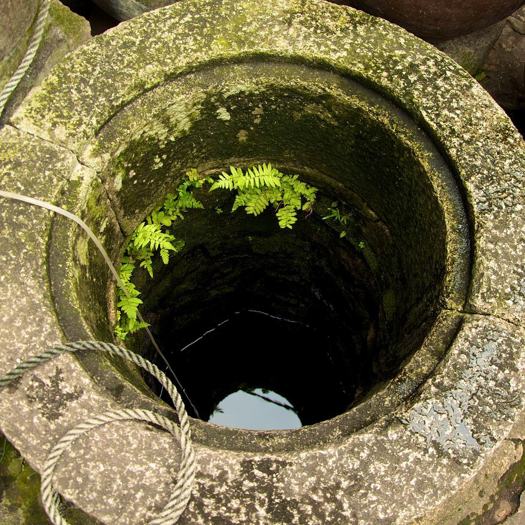 Image for Well, Well, Well