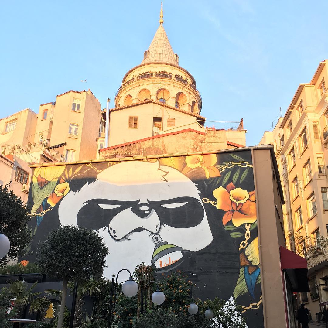 Image for Graffiti in Istanbul