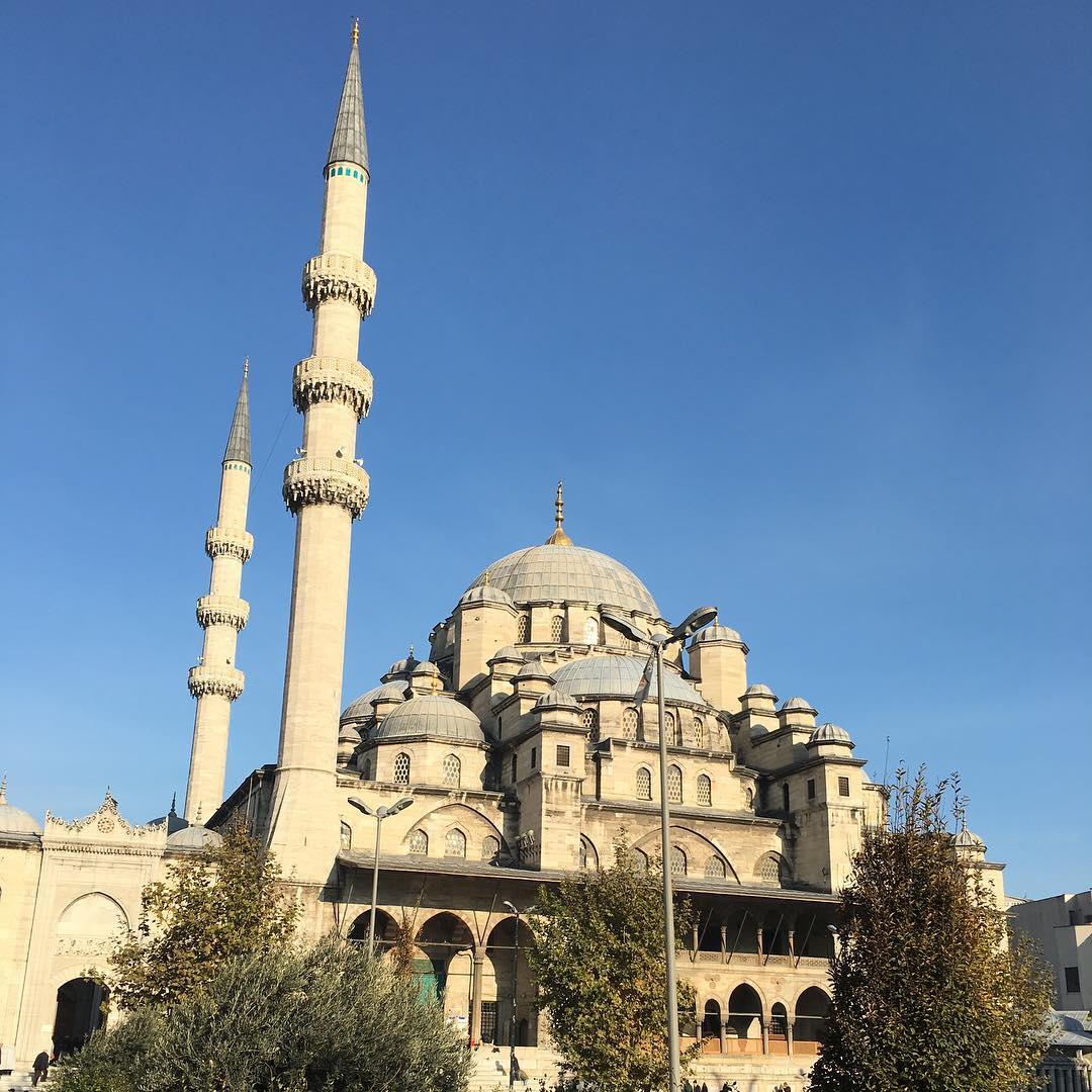 Image for Pigeons over Galata tower in Istanbul